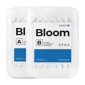 Athena Bloom A & B, 3,78 Liter