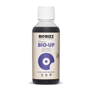 BioBizz pH+ 250 ml