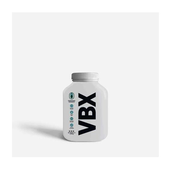 VBX Clean 450 g